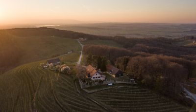 mv-vinogradi permakultura.jpg