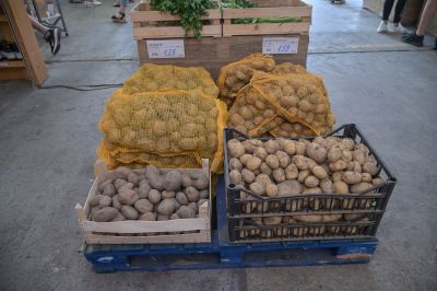 mv-prodaja krompir.jpg