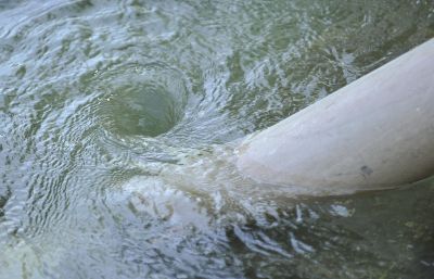 KME20130805_SIG5758.jpg