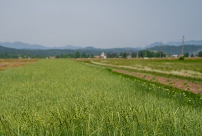 1687541883-dsc07107-1687541751683.jpg