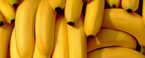 To so razlogi, zakaj bi morali banane jesti pogosteje