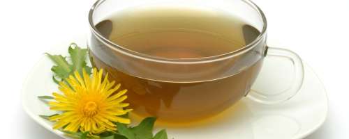 Čaj iz regratovih listov je močan diuretik