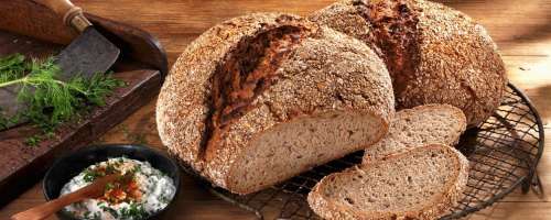 Zdrav recept za kruh, ki ne redi in zavira apetit