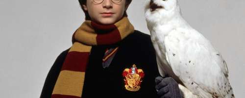 Harry Potter pojasnil težave otroških zvezdnikov