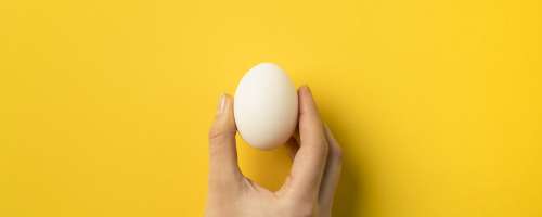Kaj pomenijo oznake na jajcih?