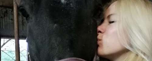 Grozno: Larin ljubi konj je žal poginil