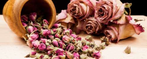 Osvežite prostore vaše hiše ali stanovanja s cvetnimi vonjavami