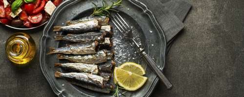 Sveže ribe iz Jadrana