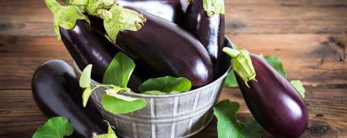 Temno vijoličasti plodovi, ki varujejo naše zdravje