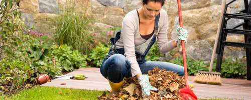 Odpadlo listje uporabite za zastirko, kompost ali listovko