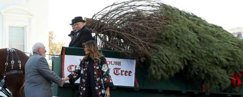 To božično drevo bo Melania postavila v Modro sobo Bele hiše