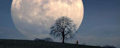 Tedenski horoskop: Polna luna klične po čustveni predanosti