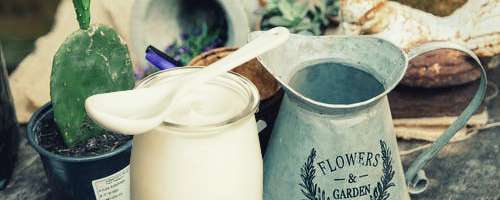 Z jogurtom in mlečnimi izdelki do bujne rasti in lepih pridelkov