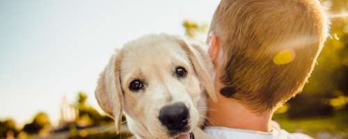 Raziskovalci potrdili, da psi jokajo tudi od veselja