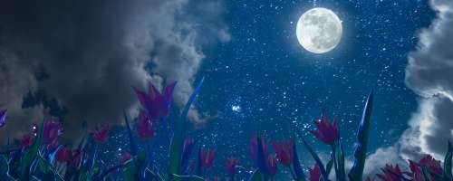 Aprilska polna luna: 20 afirmacij za priklic življenja, kot si ga želite