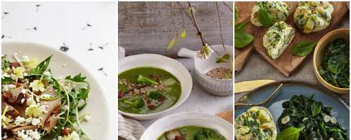 Pomlad na krožniku: Privlačne in okusne zelene jedi