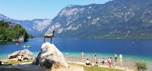 706956_175-bohinj
