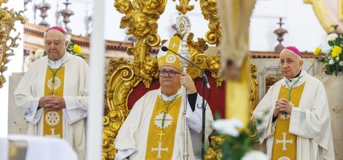 peter-stumpf, skofija-koper