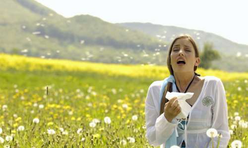 Pomladne alergije in seneni nahod prihajajo vedno bolj zgodaj
