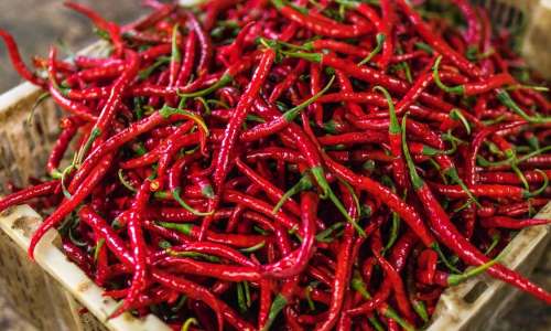 Ste sploh vedeli, kako učinkuje pekoča paprika?