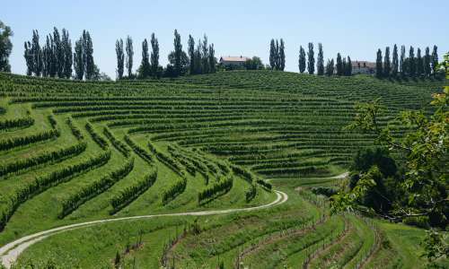 Ideja za izlet: Prečudovita narava, dobro vino in prijazni ljudje