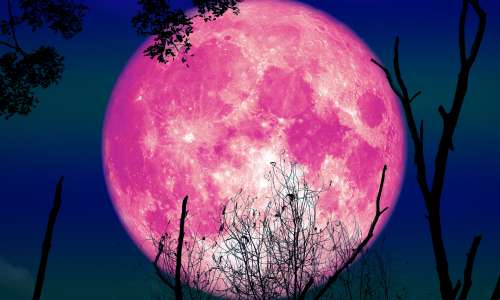 Aprilska roza polna luna: vrhunec energije, ki vpliva na vse