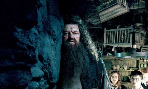 Robbie Coltrane, Hagrid