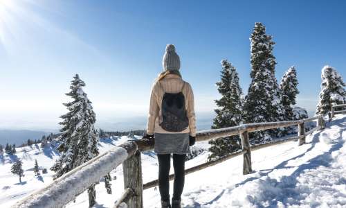 Velika planina