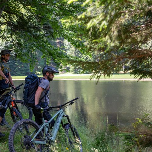 teambuilding, rogla, pocitnice