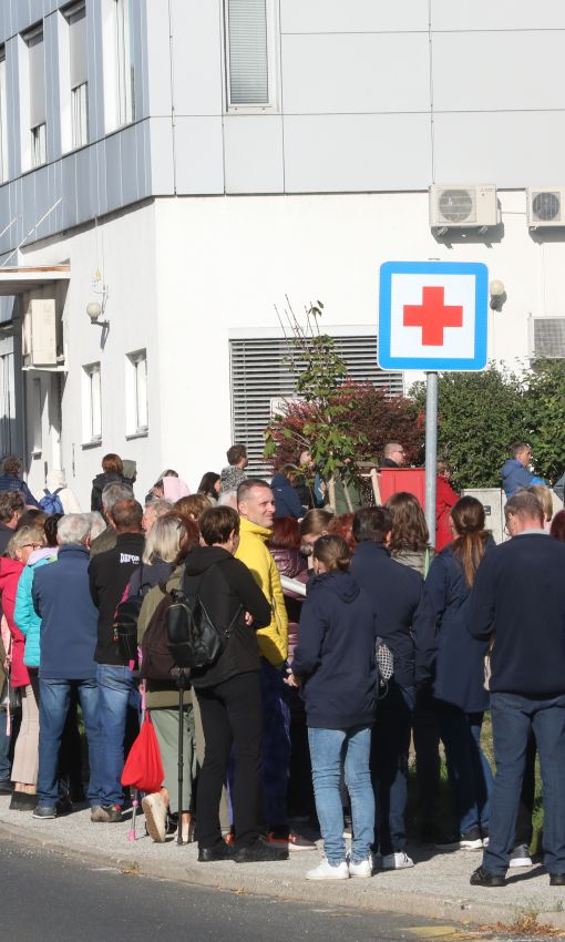 zd slovenska bistrica, zdravnica, vrsta
