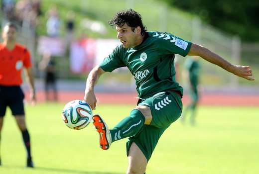mario carevic krka
