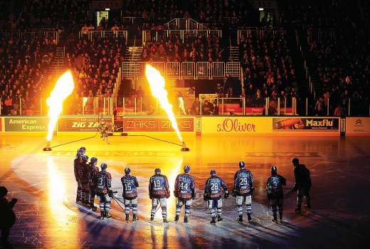 medvescak