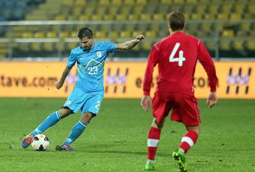 dalibor stevanovic