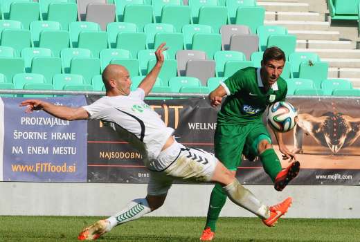 boban jovic