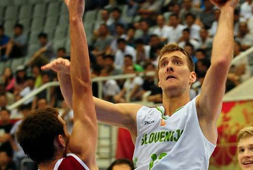 dragic zoran profi