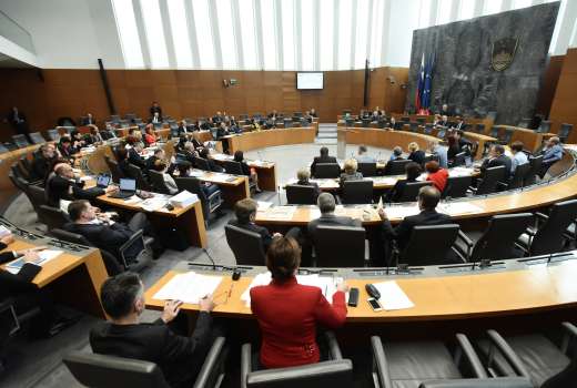 Parlament, državni zbor, obravnava