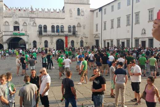 green dragons koper