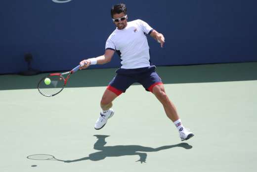 janko tipsarevic