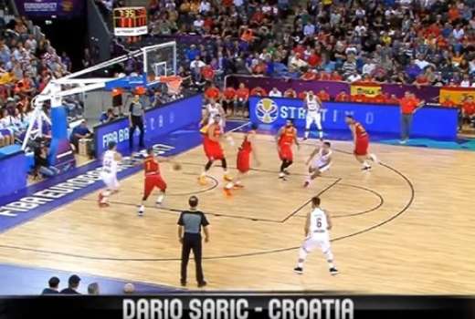 saric