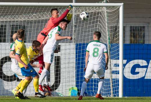 celje olimpija