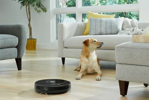 R612_R614_R627_R675_R671_Photo_Lifestyle_Dog in Living Room_EMEA_NA_Japan