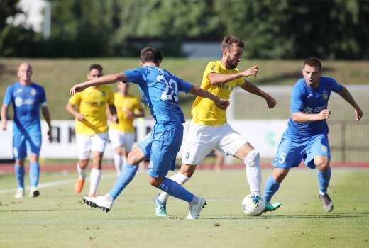 domzale bravo