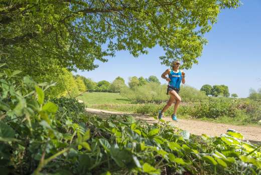 Wings For Life World Run 2020