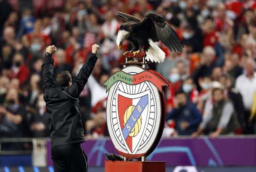 benfica orel