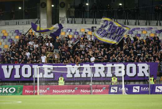 viole maribor-cluj