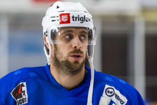 kopitar slovenija