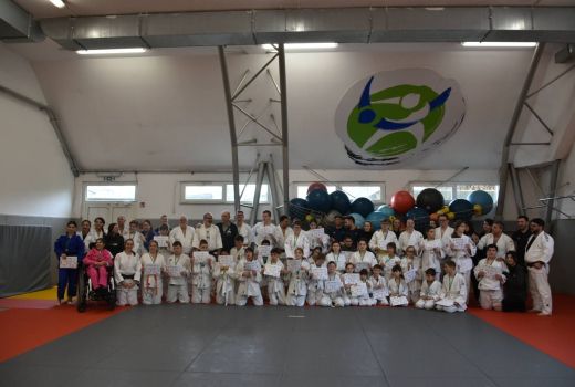 inkluzija judo