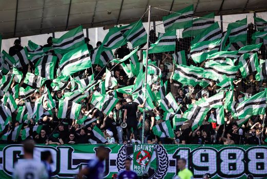Green Dragons