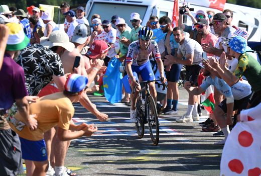 roglic