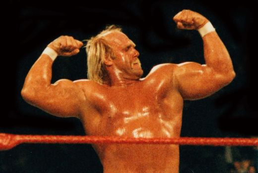 hulk hogan pm